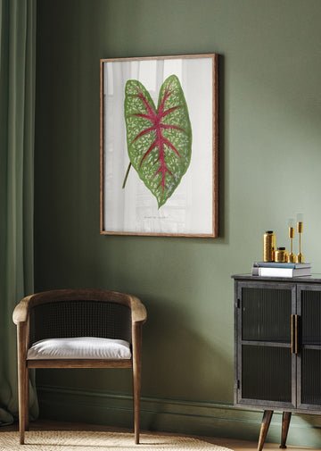 Green Caladium Chantini Leaf Illustration | Poster - Room Interior 2