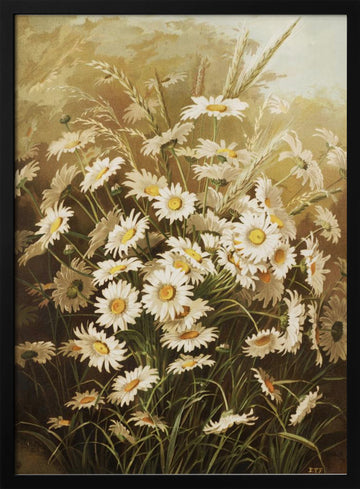 Daisies By Ellen Thayer Fisher | Poster - Black Metal Frame Interior
