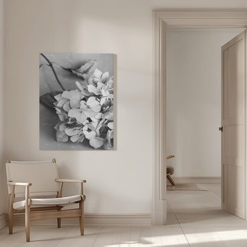 Monochrome Hydrangea Still Life | Canvas - Room Interior 1