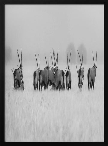 Oryx in the Mist | Poster - Black Metal Frame Interior