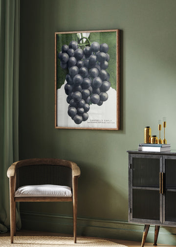 Campbell's Early Grape Lithograph | Poster - Room Interior 2