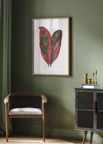 Pink Dracaena Terminalis Leaf Illustration | Poster - Room Interior 2