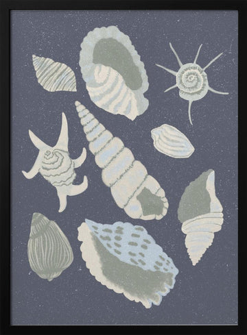 Seashells Collection | Poster - Black Metal Frame Interior
