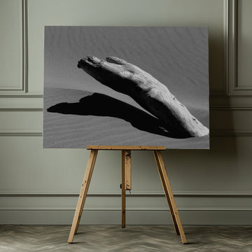 Desert Driftwood Shadow | Canvas - Room Interior 1