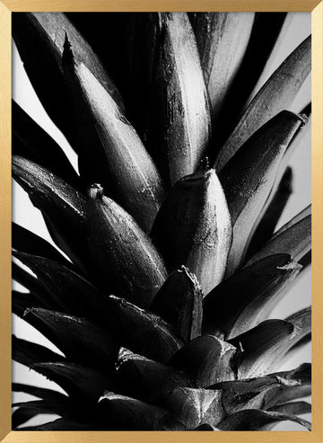 Bold Pineapple Texture | Poster - Gold Frame Interior