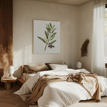 Olive Branch With Fruit | Canvas - Room Interior 2