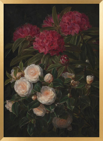 Camellias and Rhododendrons By Johan Laurentz Jensen | Poster - Gold Frame Interior