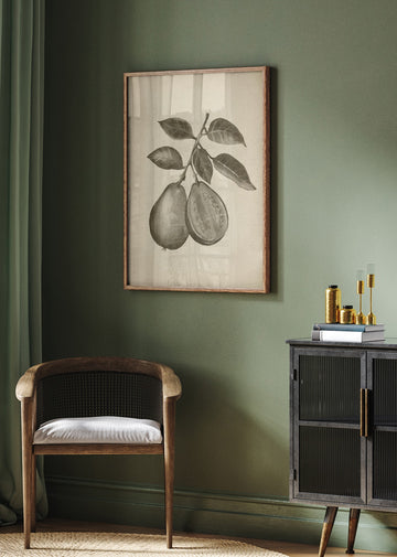 Guava Botanical Study | Poster - Room Interior 2