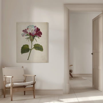 Vibrant Geranium Bloom | Canvas - Room Interior 1