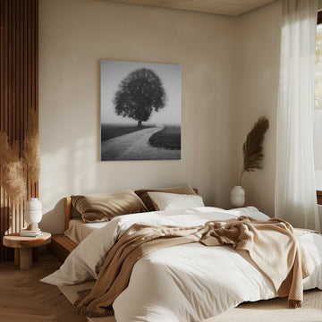 Foggy Path Lone Tree | Canvas - Room Interior 2