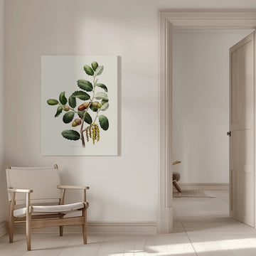 Oak Acorns Botanical | Canvas - Room Interior 1