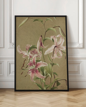 Japan Lily By Ellen Thayer Fisher | Poster - Room Interior 1