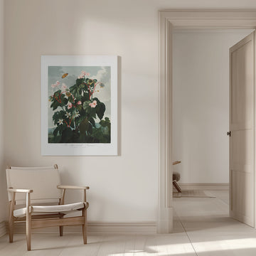 The Oblique–Leaved Begonia from The Temple of Flora (1807) | Canvas - Room Interior 1