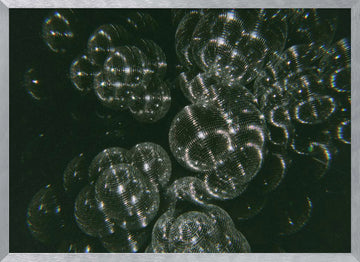 Sparkling Disco Balls | Poster - Silver Frame Interior