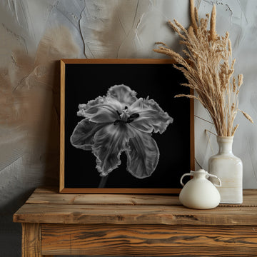 Elegant Monochrome Tulip | Poster - Room Interior 1