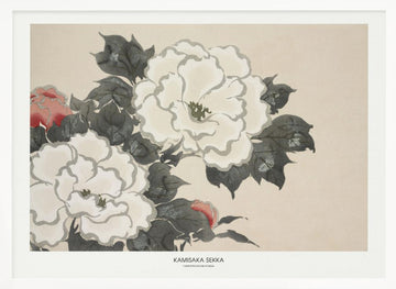 Flowers From Momoyogusa | Poster - White Frame Interior