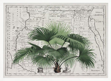Vintage Palm on Africa Map | Poster - White Frame Interior