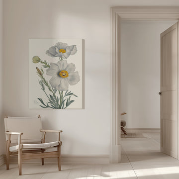 Matilija Poppy | Canvas - Room Interior 1