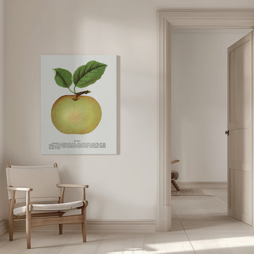Mann Apple Lithograph | Canvas - Room Interior 1