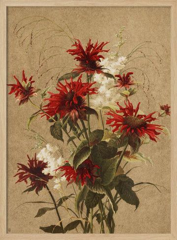 Balm and Spiraea By Ellen Thayer Fisher | Poster - Wood Frame Interior