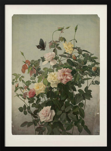 Roses | Poster - Black Metal Frame Interior