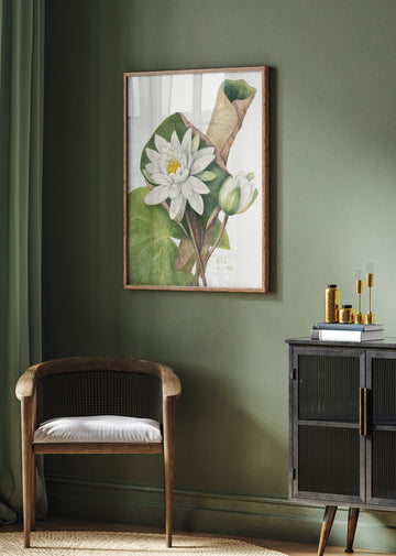 American Waterlily (1920) | Poster - Room Interior 2