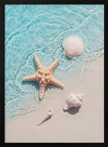 Starfish Seashells Shoreline | Poster - Black Metal Frame Interior