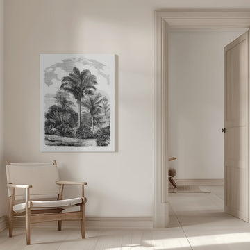 Vintage Palm Tree Drawing Vi | Canvas - Room Interior 1