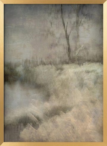 Little ven | Poster - Gold Frame Interior
