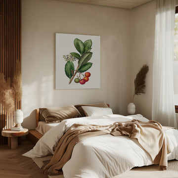 Vintage Strawberry Tree | Canvas - Room Interior 2