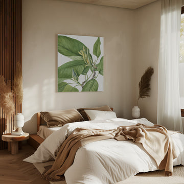 Cucumbertree 1922 | Canvas - Room Interior 2