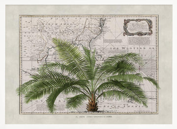 Vintage Map Palm Tree | Poster - White Frame Interior