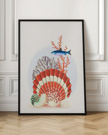 Scallop Shell Coral Fish | Poster - Room Interior 1