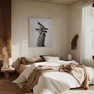 Two Giraffes Gaze | Canvas - Room Interior 2