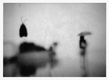 Moth and Umbrella Silhouette | Poster - White Frame Interior