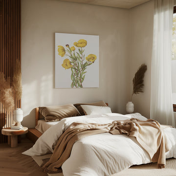 Bushpoppy From North American Wildflowers (1925) By Mary Vaux Walcott | Canvas - Room Interior 2