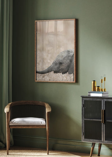 Gentle Giant's Gaze | Poster - Room Interior 2