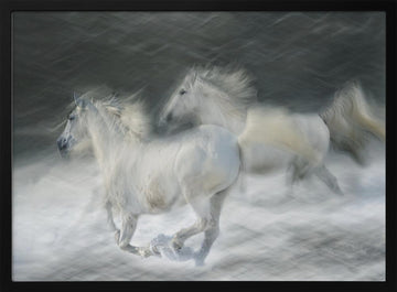 Dreamy White Horses | Poster - Black Metal Frame Interior