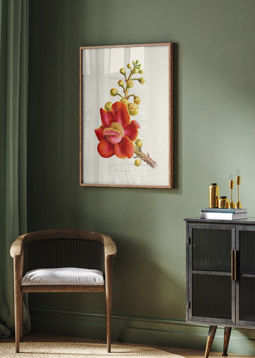 Vibrant Cannonball Flower | Poster - Room Interior 2