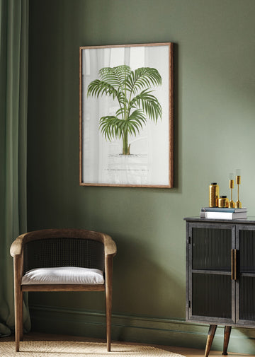Kentia Vii | Poster - Room Interior 2
