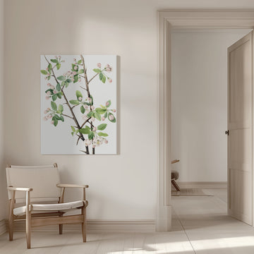 Wild Sweet Crab (1920) | Canvas - Room Interior 1