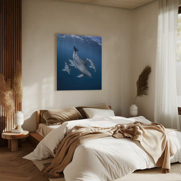 Graceful Dolphins Blue Depths | Canvas - Room Interior 2