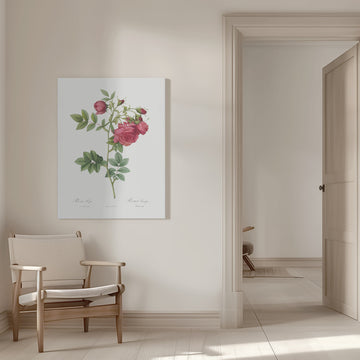 Turnip Roses, Les Roses (1817–1824) | Canvas - Room Interior 1