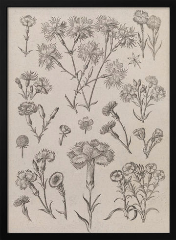 Daffodils | Poster - Black Metal Frame Interior