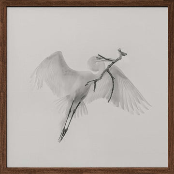 White Egret Carrying Branch | Poster - Walnut Frame Interior