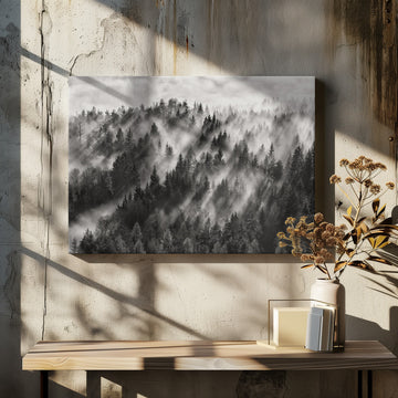 Misty Forest Light Rays | Canvas - Room Interior 2