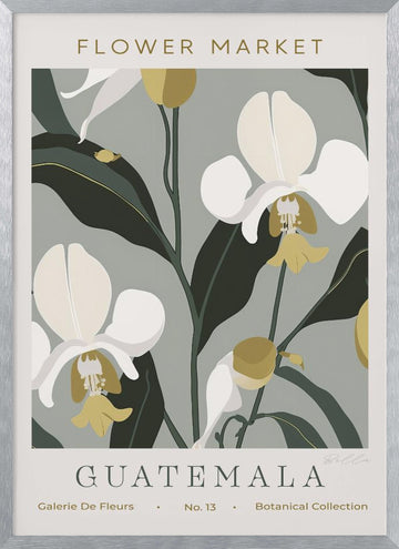 Tropical Guatemala Orchids | Poster - Silver Frame Interior