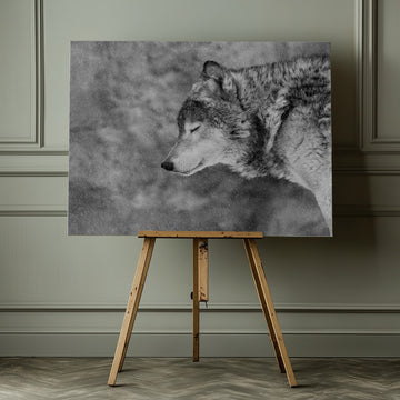 Let it snow | Canvas - Room Interior 1