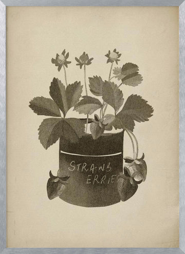 Vintage Strawberry Illustration | Poster - Silver Frame Interior