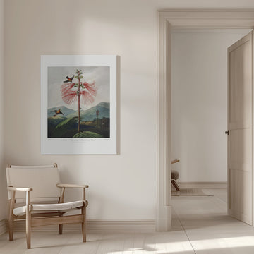 Large–Flowering Sensitive Plant from The Temple of Flora (1807) | Canvas - Room Interior 1